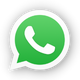 Whatsapp Business icona